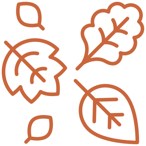 autumn leaves